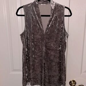 Silver sleeveless velour top